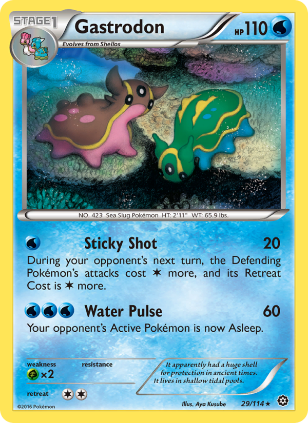 xy11-29